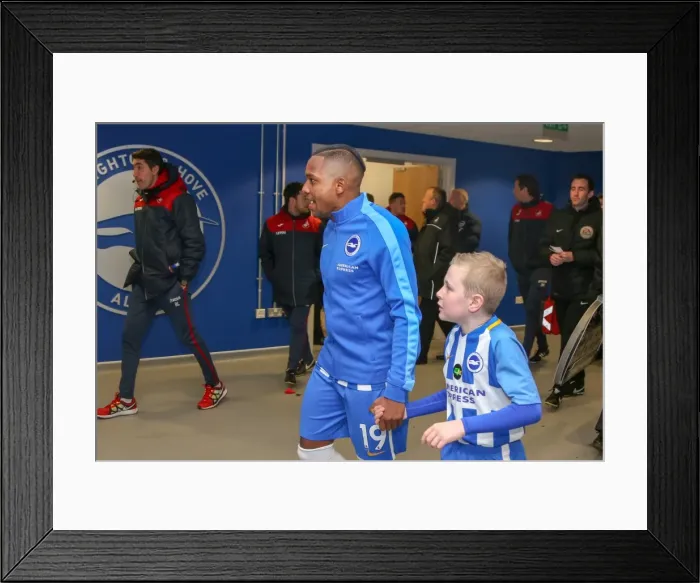 Framed Print : Mascots - Swansea-6171 Framed Print : Mascots - Swansea-6171