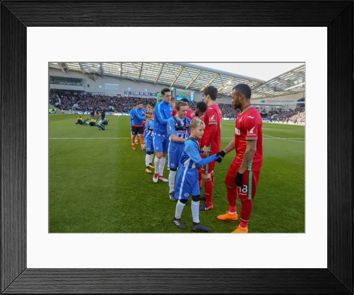 Framed Print : Mascots - Swansea-6176 Framed Print : Mascots - Swansea-6176