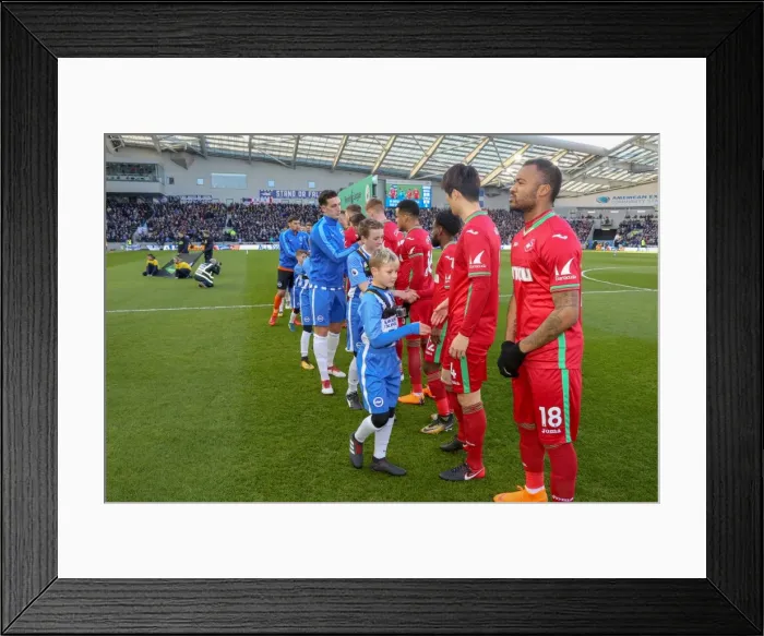 Framed Print : Mascots - Swansea-6175 Framed Print : Mascots - Swansea-6175