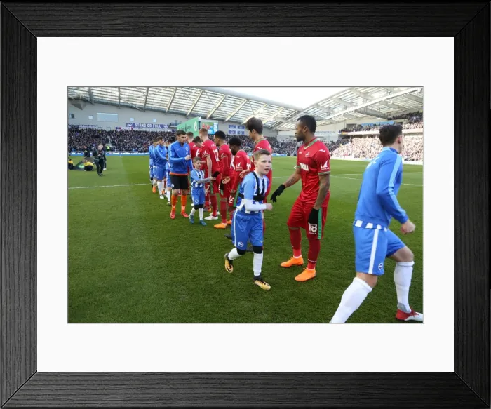 Framed Print : Mascots - Swansea-6179 Framed Print : Mascots - Swansea-6179