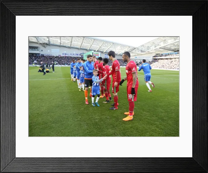 Framed Print : Mascots - Swansea-6181