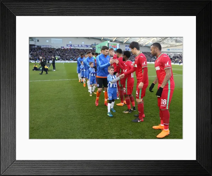Framed Print : Mascots - Swansea-6180 Framed Print : Mascots - Swansea-6180