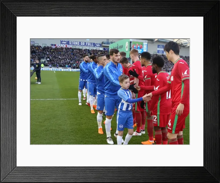 Framed Print : Mascots - Swansea-6182 Framed Print : Mascots - Swansea-6182