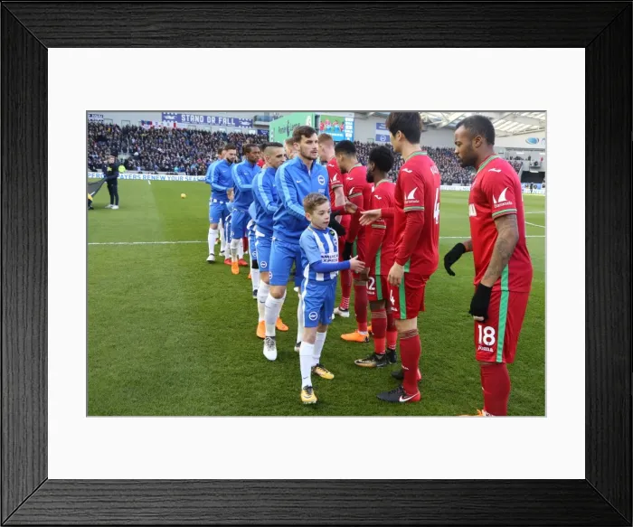 Framed Print : Mascots - Swansea-6183 Framed Print : Mascots - Swansea-6183