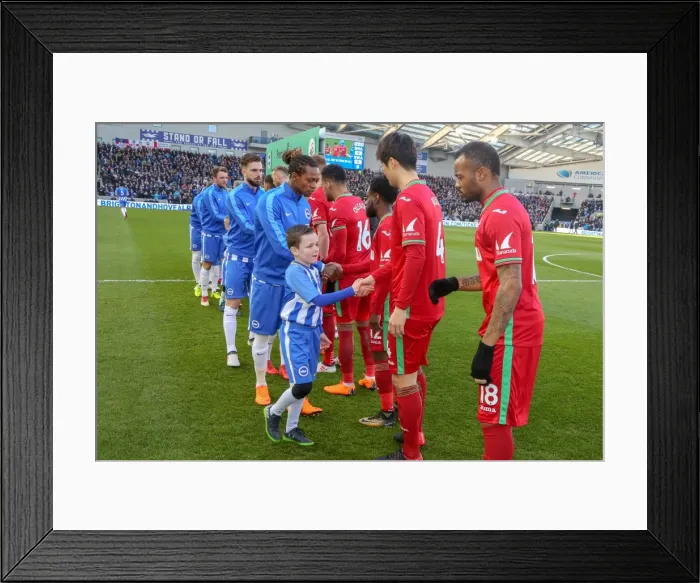 Framed Print : Mascots - Swansea-6188 Framed Print : Mascots - Swansea-6188
