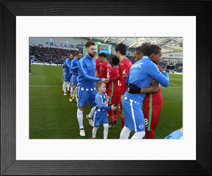 Framed Print : Mascots - Swansea-6189 Framed Print : Mascots - Swansea-6189