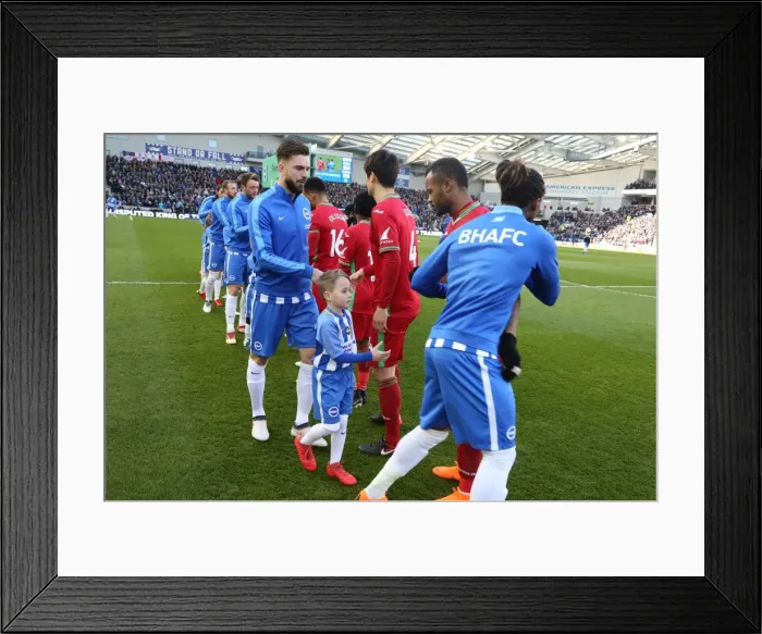 Framed Print : Mascots - Swansea-6190
