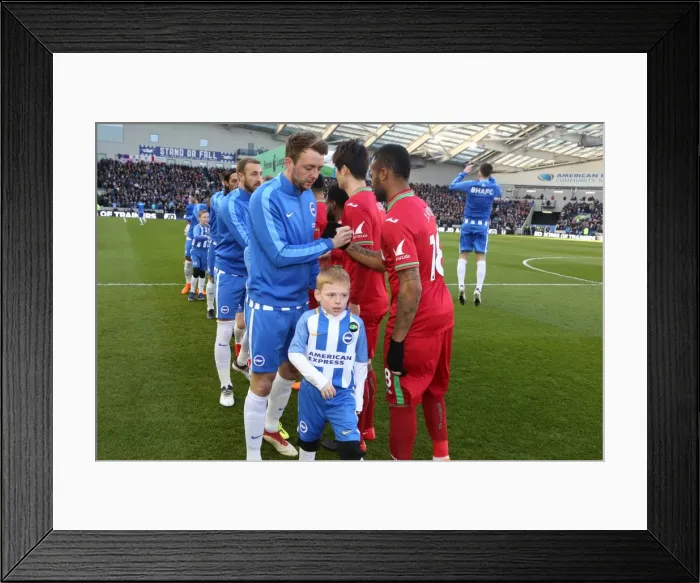 Framed Print : Mascots - Swansea-6193 Framed Print : Mascots - Swansea-6193