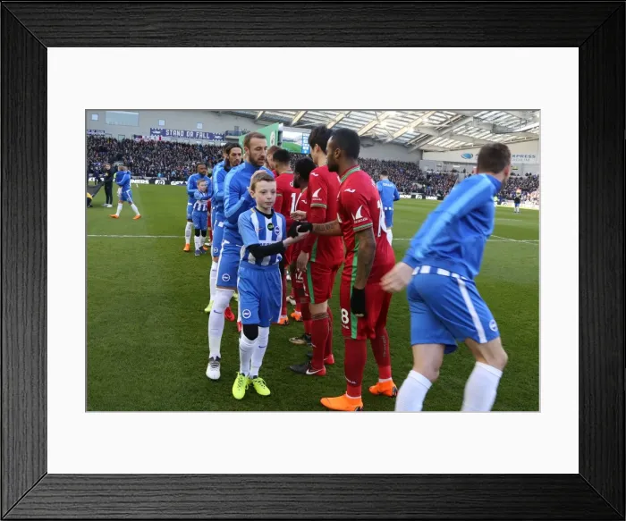 Framed Print : Mascots - Swansea-6194 Framed Print : Mascots - Swansea-6194