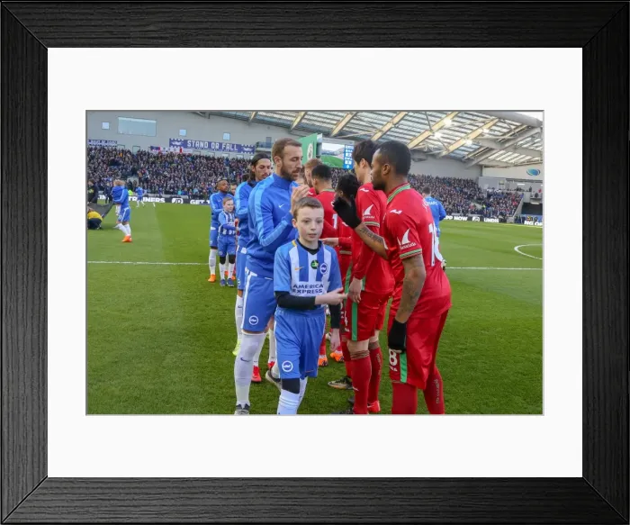 Framed Print : Mascots - Swansea-6195