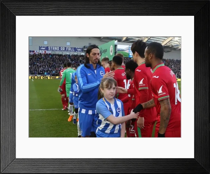 Framed Print : Mascots - Swansea-6196 Framed Print : Mascots - Swansea-6196