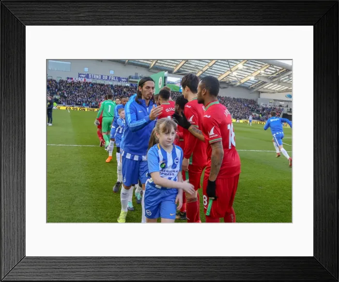 Framed Print : Mascots - Swansea-6197 Framed Print : Mascots - Swansea-6197