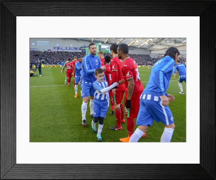 Framed Print : Mascots - Swansea-6199 Framed Print : Mascots - Swansea-6199