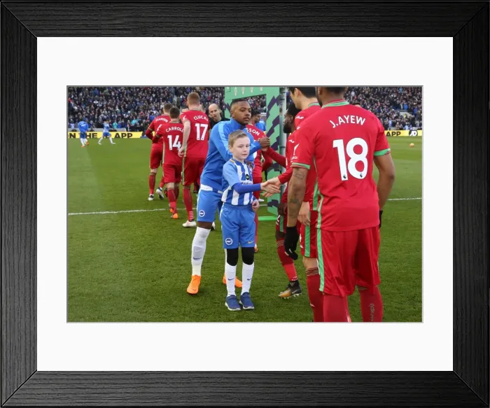 Framed Print : Mascots - Swansea-6201 Framed Print : Mascots - Swansea-6201