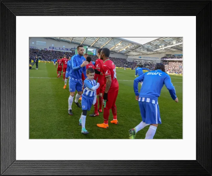 Framed Print : Mascots - Swansea-6200 Framed Print : Mascots - Swansea-6200