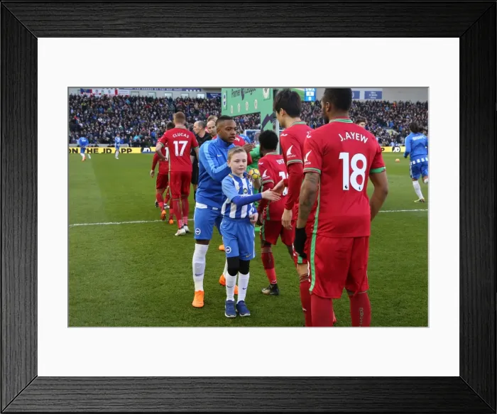 Framed Print : Mascots - Swansea-6202 Framed Print : Mascots - Swansea-6202