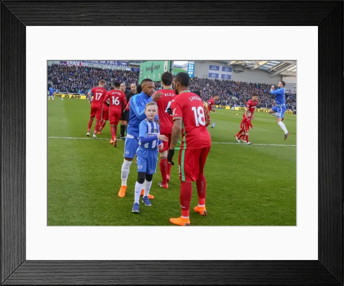 Framed Print : Mascots - Swansea-6204 Framed Print : Mascots - Swansea-6204