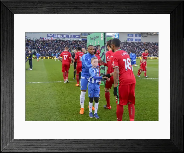 Framed Print : Mascots - Swansea-6203 Framed Print : Mascots - Swansea-6203