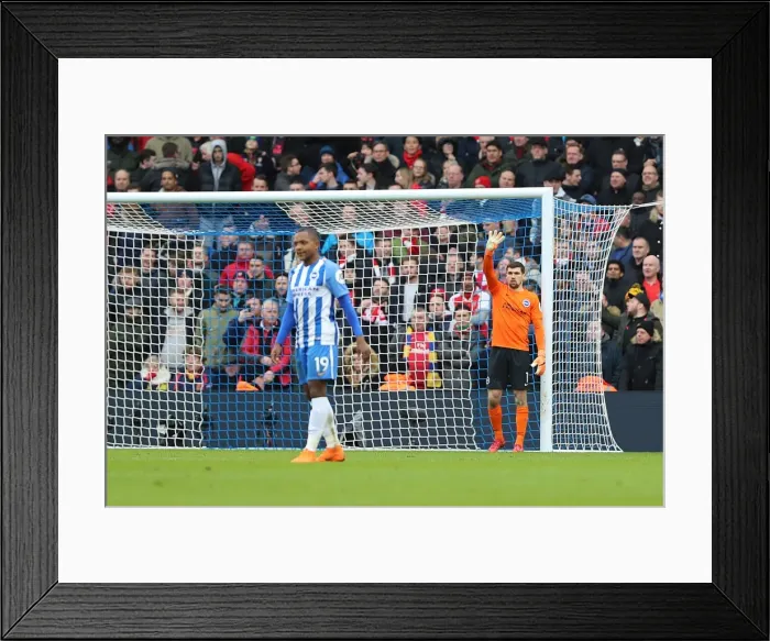 Framed Print : Mathew Ryan in Action: Brighton & Hove Albion vs Arsenal - Premier League 04MAR18 Framed Print : Mathew Ryan in Action: Brighton & Hove Albion vs Arsenal - Premier League 04MAR18