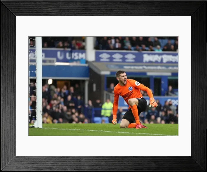 Framed Print : Intense Premier League Showdown: Everton vs. Brighton and Hove Albion at Goodison Park (10MAR18) Framed Print : Intense Premier League Showdown: Everton vs. Brighton and Hove Albion at Goodison Park (10MAR18)