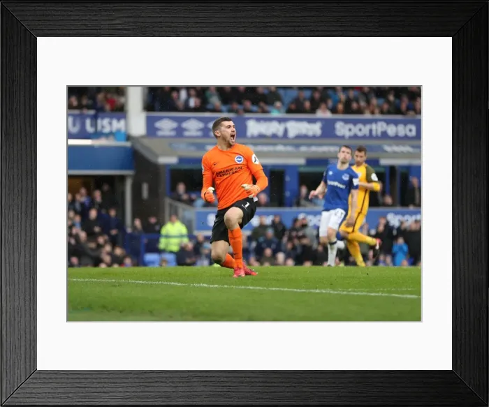Framed Print : Intense Premier League Showdown: Everton vs. Brighton and Hove Albion at Goodison Park (10MAR18) Framed Print : Intense Premier League Showdown: Everton vs. Brighton and Hove Albion at Goodison Park (10MAR18)