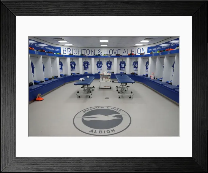 Framed Print : Premier League Showdown: Brighton & Hove Albion vs. Leicester City (31MAR18) - American Express Community Stadium Framed Print : Premier League Showdown: Brighton & Hove Albion vs. Leicester City (31MAR18) - American Express Community Stadium