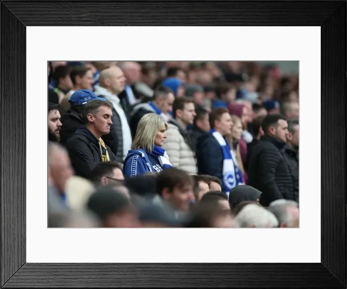 Framed Print : Premier League Showdown: Brighton & Hove Albion vs. Leicester City (31MAR18) - American Express Community Stadium Framed Print : Premier League Showdown: Brighton & Hove Albion vs. Leicester City (31MAR18) - American Express Community Stadium