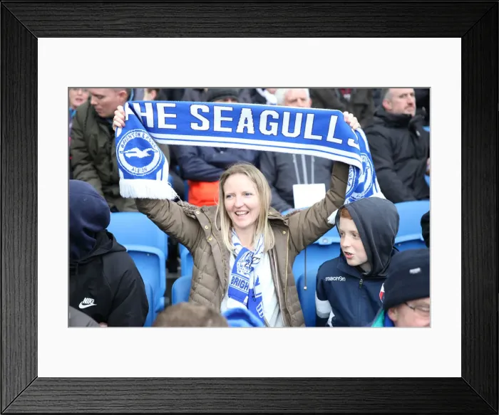 Framed Print : Intense Premier League Showdown: Brighton & Hove Albion vs. Leicester City (31MAR18) Framed Print : Intense Premier League Showdown: Brighton & Hove Albion vs. Leicester City (31MAR18)