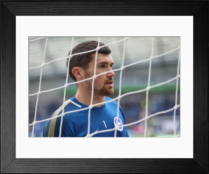 Framed Print : Premier League Showdown: Brighton & Hove Albion vs. Leicester City (31MAR18) - American Express Community Stadium