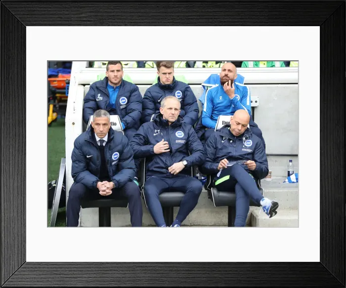 Framed Print : Brighton and Hove Albion vs. Leicester City: Premier League Battle at American Express Community Stadium (31MAR18) Framed Print : Brighton and Hove Albion vs. Leicester City: Premier League Battle at American Express Community Stadium (31MAR18)