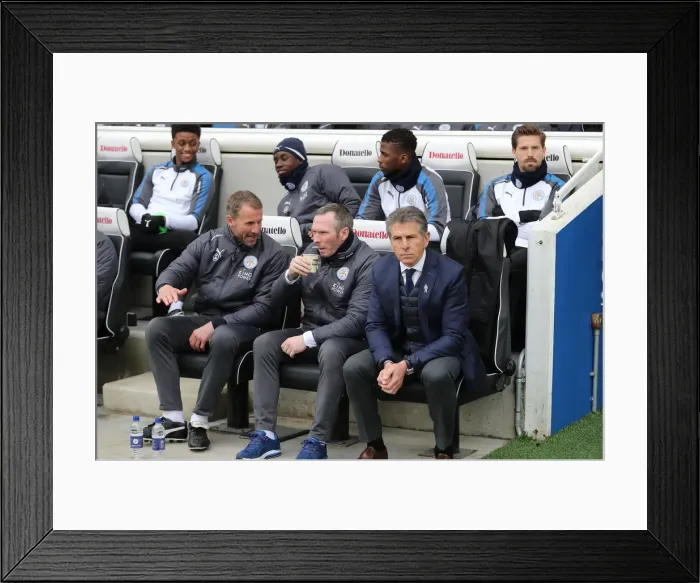 Framed Print : Brighton and Hove Albion vs Leicester City: Premier League Battle at American Express Community Stadium (31MAR18) Framed Print : Brighton and Hove Albion vs Leicester City: Premier League Battle at American Express Community Stadium (31MAR18)