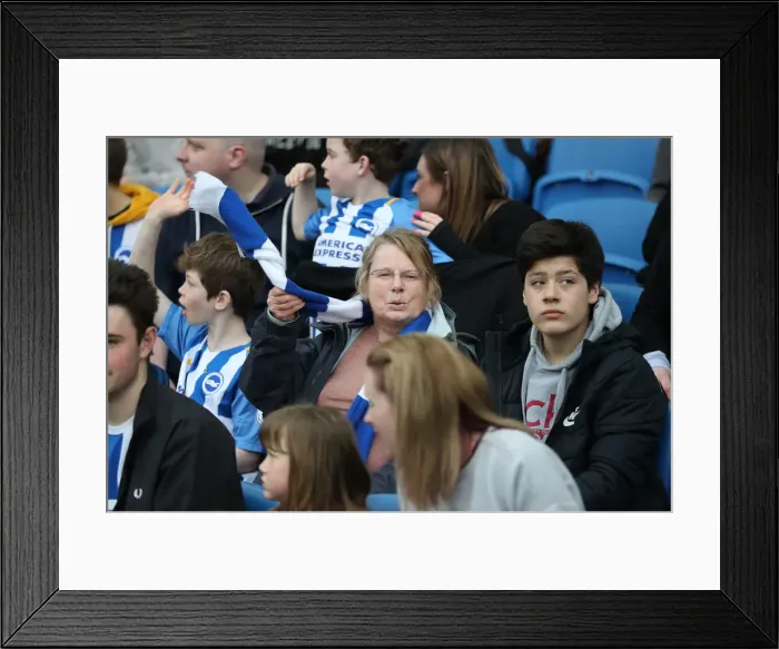 Framed Print : Brighton and Hove Albion vs. Huddersfield Town: Premier League Battle at American Express Community Stadium (07APR18)