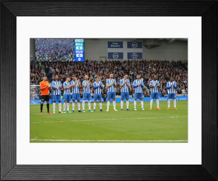 Framed Print : Brighton and Hove Albion vs. Huddersfield Town: Premier League Battle at American Express Community Stadium (07APR18) Framed Print : Brighton and Hove Albion vs. Huddersfield Town: Premier League Battle at American Express Community Stadium (07APR18)