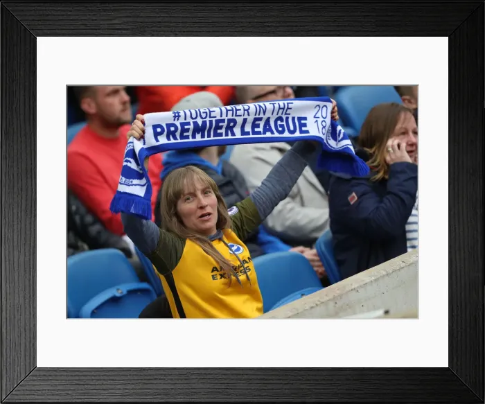 Framed Print : Brighton and Hove Albion vs. Huddersfield Town: Premier League Battle at American Express Community Stadium (07APR18) Framed Print : Brighton and Hove Albion vs. Huddersfield Town: Premier League Battle at American Express Community Stadium (07APR18)