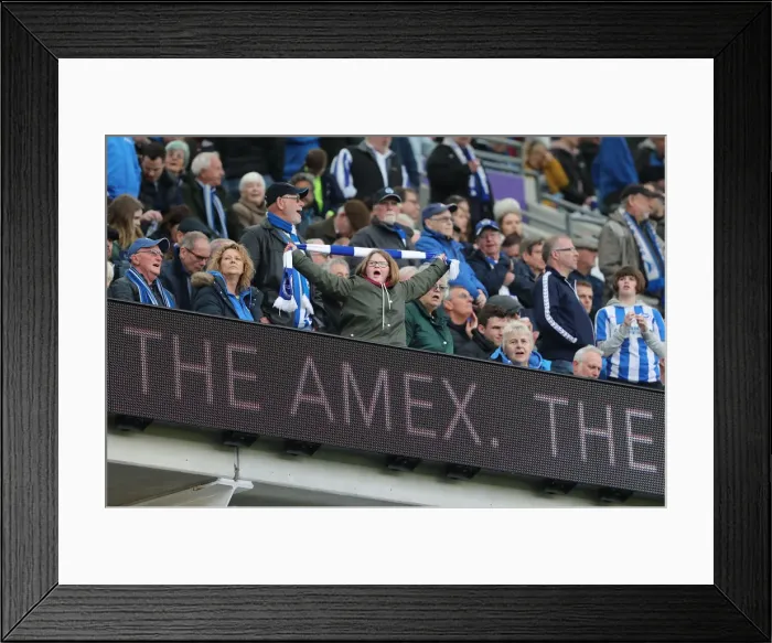 Framed Print : Premier League Showdown: Brighton & Hove Albion vs. Huddersfield Town (07APR18) - American Express Community Stadium Framed Print : Premier League Showdown: Brighton & Hove Albion vs. Huddersfield Town (07APR18) - American Express Community Stadium