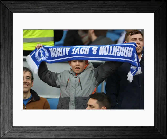 Framed Print : Premier League Showdown: Brighton & Hove Albion vs. Huddersfield Town (07APR18) - American Express Community Stadium Framed Print : Premier League Showdown: Brighton & Hove Albion vs. Huddersfield Town (07APR18) - American Express Community Stadium