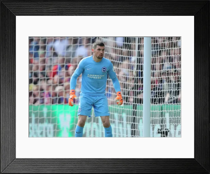 Framed Print : 14APR18: Premier League Showdown - Crystal Palace vs. Brighton and Hove Albion at Selhurst Park