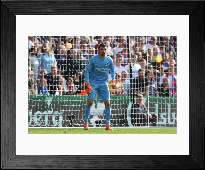 Framed Print : 14APR18: Crystal Palace vs. Brighton & Hove Albion - Intense Premier League Clash at Selhurst Park Framed Print : 14APR18: Crystal Palace vs. Brighton & Hove Albion - Intense Premier League Clash at Selhurst Park