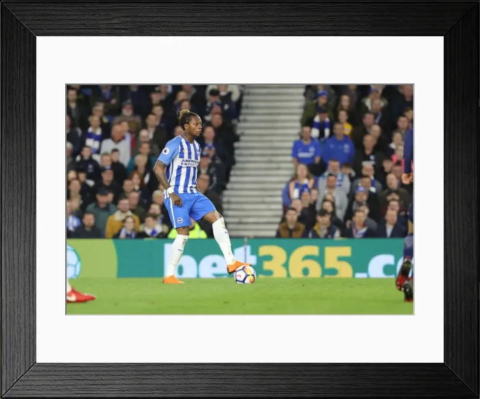 Framed Print : Premier League Showdown: Brighton & Hove Albion vs. Tottenham Hotspur (17APR18) Framed Print : Premier League Showdown: Brighton & Hove Albion vs. Tottenham Hotspur (17APR18)