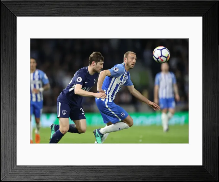 Framed Print : Premier League Showdown: Brighton & Hove Albion vs. Tottenham Hotspur (17APR18) Framed Print : Premier League Showdown: Brighton & Hove Albion vs. Tottenham Hotspur (17APR18)