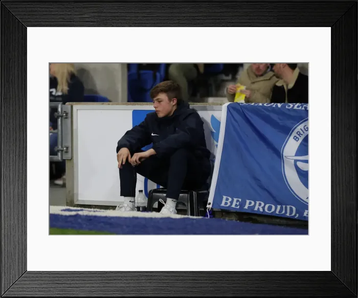 Framed Print : Premier League Showdown: Brighton & Hove Albion vs. Tottenham Hotspur (17APR18) Framed Print : Premier League Showdown: Brighton & Hove Albion vs. Tottenham Hotspur (17APR18)