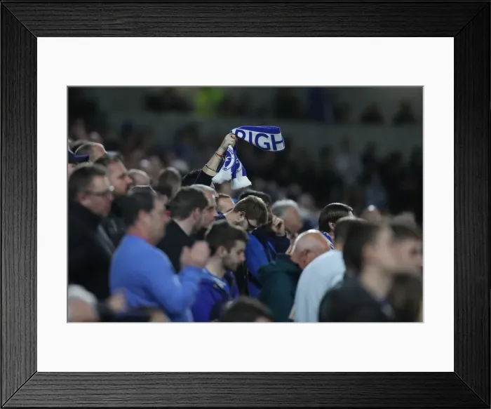 Framed Print : Action-Packed Premier League Showdown: Brighton & Hove Albion vs. Tottenham Hotspur (17APR18) Framed Print : Action-Packed Premier League Showdown: Brighton & Hove Albion vs. Tottenham Hotspur (17APR18)