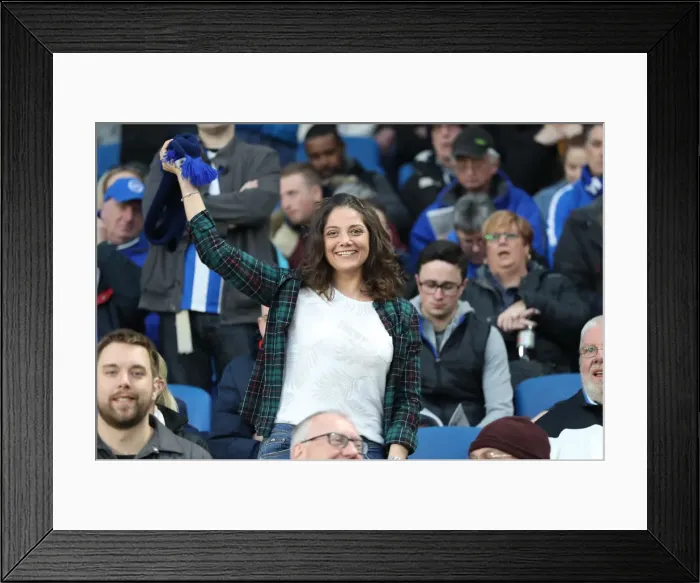 Framed Print : Premier League Showdown: Brighton & Hove Albion vs. Tottenham Hotspur (17APR18) Framed Print : Premier League Showdown: Brighton & Hove Albion vs. Tottenham Hotspur (17APR18)