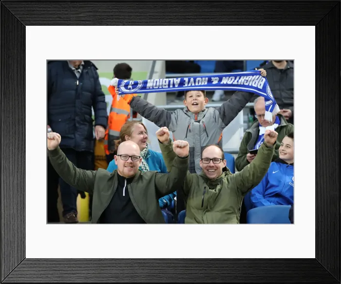 Framed Print : Premier League Showdown: Brighton & Hove Albion vs. Tottenham Hotspur (17APR18) Framed Print : Premier League Showdown: Brighton & Hove Albion vs. Tottenham Hotspur (17APR18)