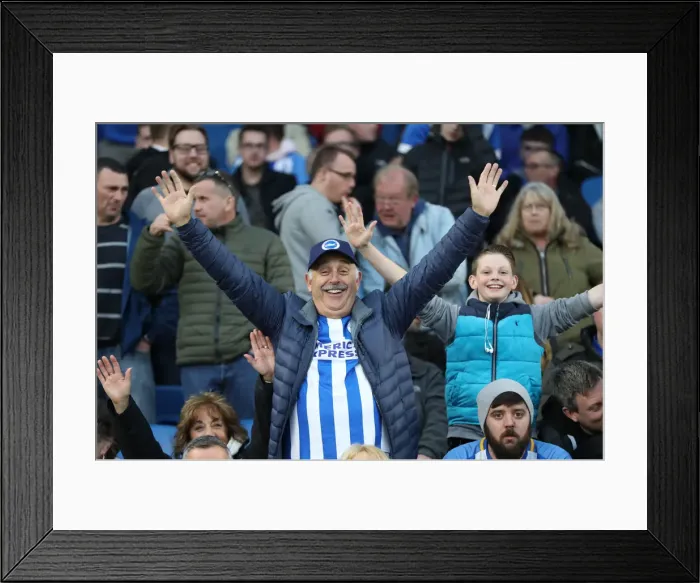 Framed Print : Brighton and Hove Albion vs. Tottenham Hotspur: Premier League Battle at American Express Community Stadium (17APR18)