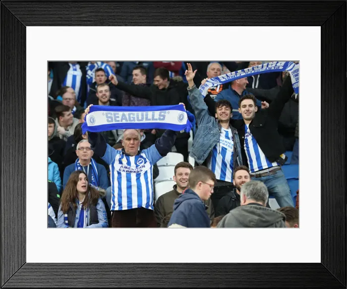 Framed Print : Premier League Showdown: Brighton & Hove Albion vs. Tottenham Hotspur (17APR18)