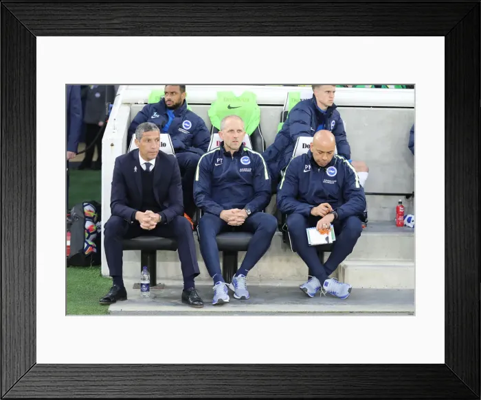Framed Print : Brighton and Hove Albion vs. Tottenham Hotspur: Premier League Battle at American Express Community Stadium (17APR18) Framed Print : Brighton and Hove Albion vs. Tottenham Hotspur: Premier League Battle at American Express Community Stadium (17APR18)