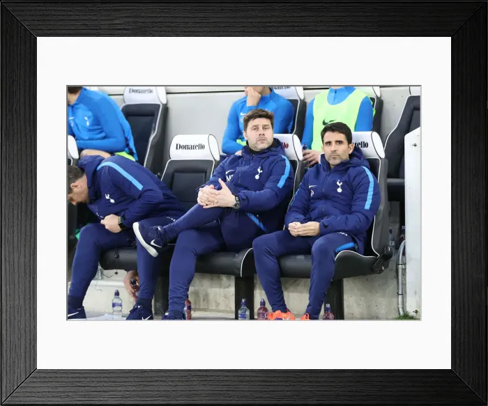 Framed Print : Premier League Showdown: Brighton & Hove Albion vs. Tottenham Hotspur (17APR18) Framed Print : Premier League Showdown: Brighton & Hove Albion vs. Tottenham Hotspur (17APR18)