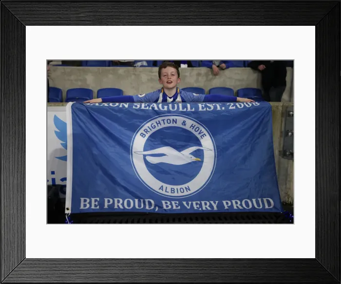 Framed Print : Premier League Showdown: Brighton & Hove Albion vs. Tottenham Hotspur (17APR18) - American Express Community Stadium Framed Print : Premier League Showdown: Brighton & Hove Albion vs. Tottenham Hotspur (17APR18) - American Express Community Stadium