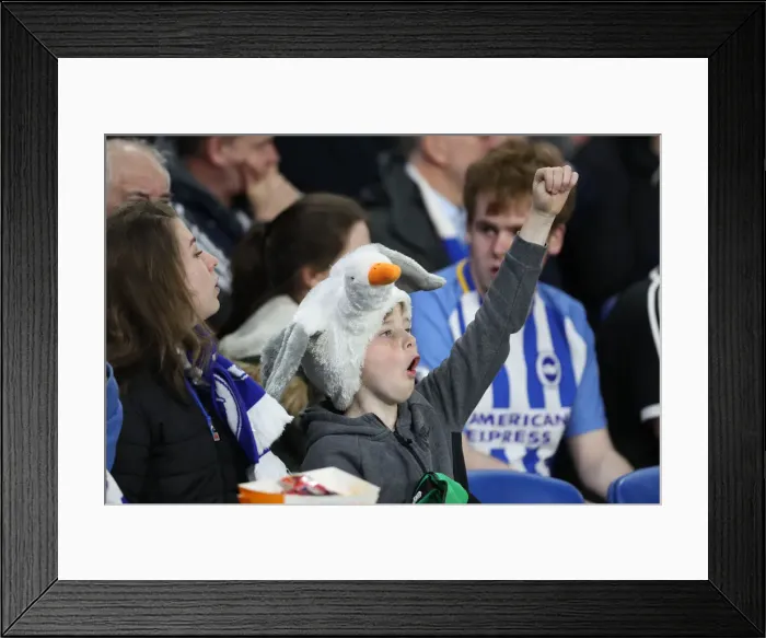 Framed Print : Fans BI6I7160 Framed Print : Fans BI6I7160